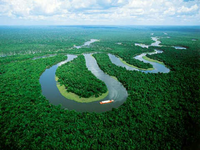 Amazônia perdeu mais de 200 km² de florestas nos últimos meses de 2011