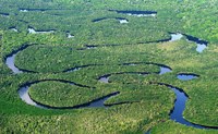 Bacia amazônica está virando emissora de carbono 