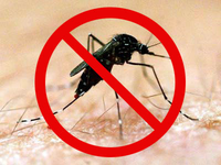 Chuva, calor e novo alerta contra a dengue em BH