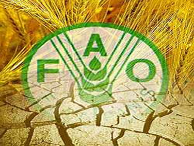 FAO promete erradicar a fome na América Latina antes de 2025 
