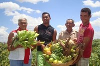 Municípios devem confirmar interesse em programa de compra de alimentos da agricultura familiar