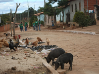 Pobreza cai em ritmo lento em Minas