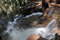 Soluções simples podem minimizar crise hídrica em Minas