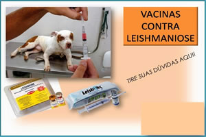 Vacina contra leishmaniose será tema de audiência pública